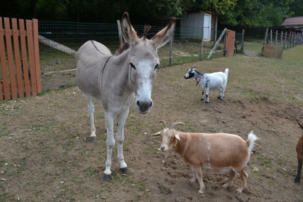 Le Paradis Des Animaux Coublevie エクステリア 写真